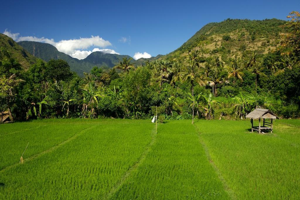 The Kampung Amed Exterior foto